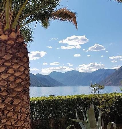 Apartment Maniva Kotor Buitenkant foto
