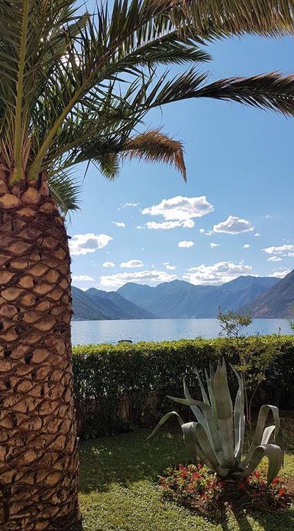 Apartment Maniva Kotor Buitenkant foto