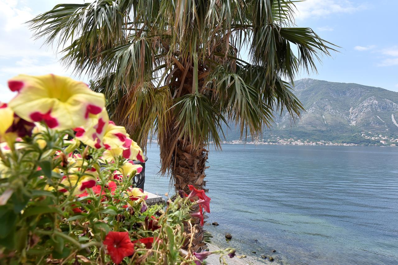 Apartment Maniva Kotor Buitenkant foto