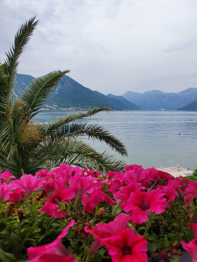 Apartment Maniva Kotor Kamer foto